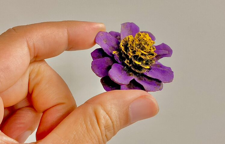 保育博ウエスト2024で「ミタテル®︎」ワークショップを開催！